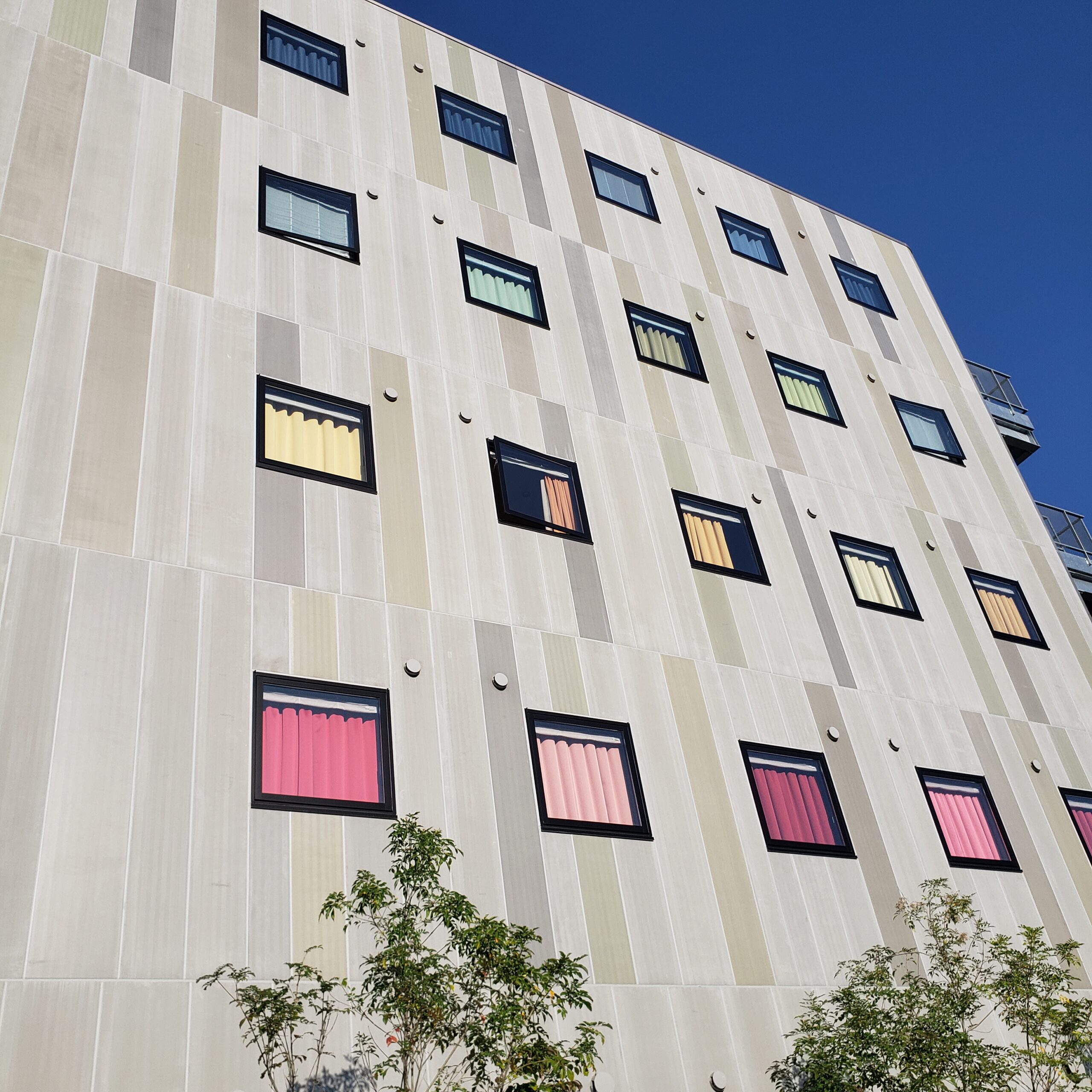 水性コンクリートステイン塗料「アクアカラー for wall」の塗装事例：ホテル・病院,ストーンブラック,グレー,モスカーキ,オリーブイエロー,ペールグリーン